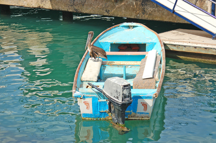 Mexico Fishing Boat