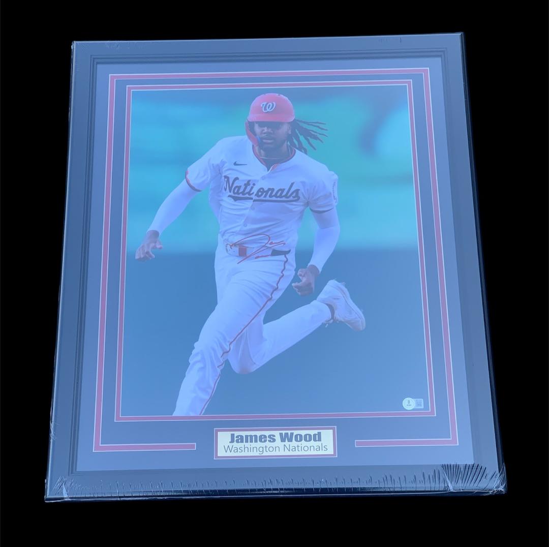 JAMES WOOD SIGNED CUSTOM FRAMED 16X20