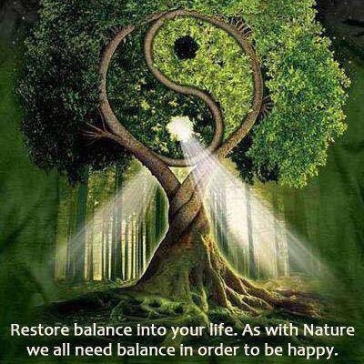 6 weeks Online Course