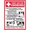 First Aid for Choking Instructions Decal