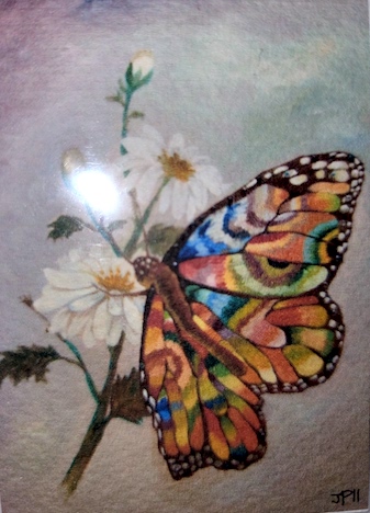 ACEO-8-butterfly