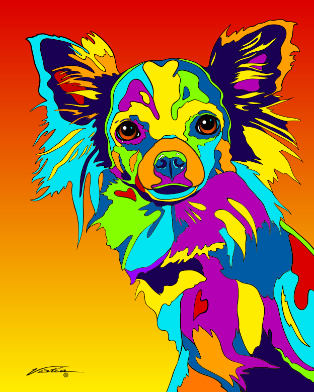 CHIHUAHUA, LONG HAIRED