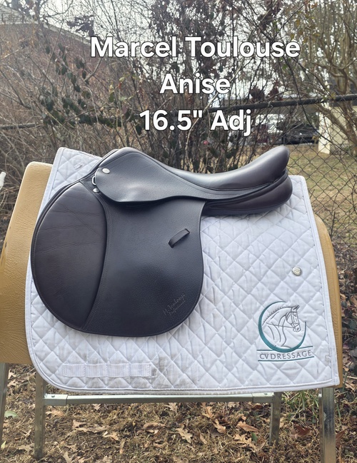 Marcel Toulouse Anise