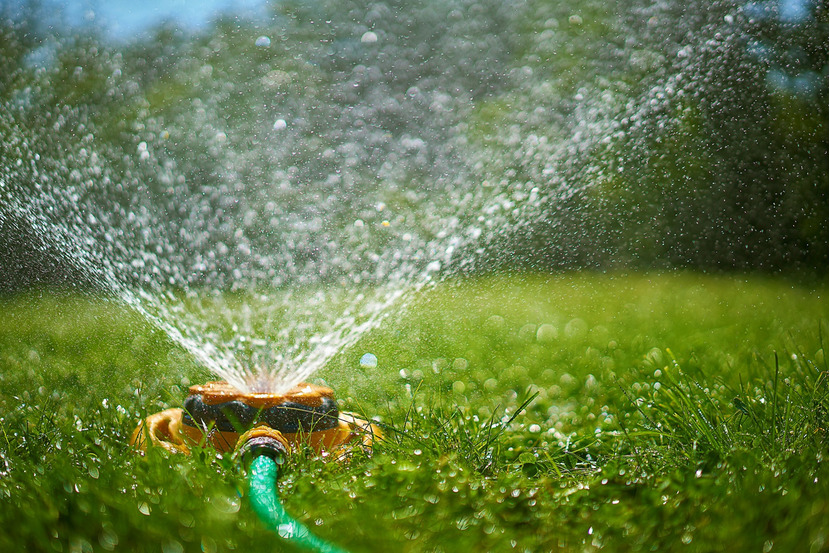 GRASS LAWN BEING WATERED BY SPRINKLER