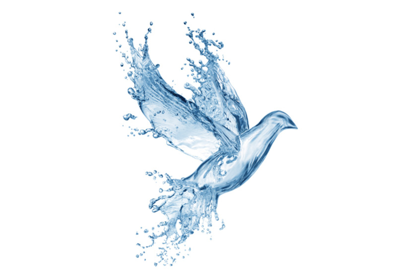 DOVE MADE OF WATER